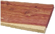 cedar